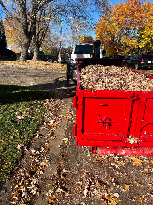 Red dumpster bin pulled by a white dump truck. Red bin is filled with dry leaves on a street lined with trees.